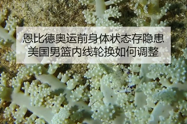 en-bi-de-ao-yun-qian-shen-ti-zhuang-tai-cun-yin-huan-mei-guo-nan-lan-nei-xian-lun-huan-ru-he-tiao-zheng-2-333.jpg